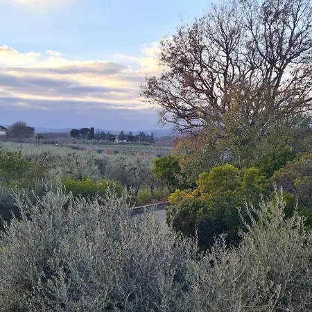 Gli Scoiattoli Affittacamere 3*